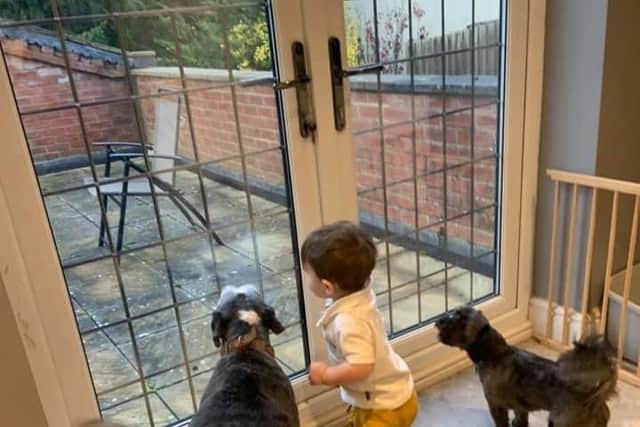 Christina says her two dogs and her toddler (pictured), as well as her 12-year-old son are all 'best pals'.
