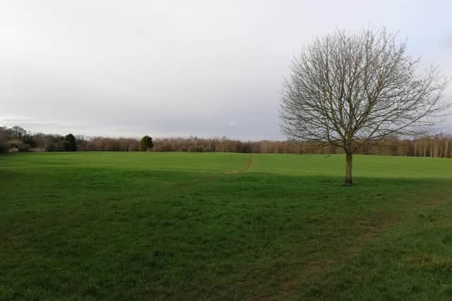 The borough council will continue to cut the grass until 2028 though when the Veolia contract runs out