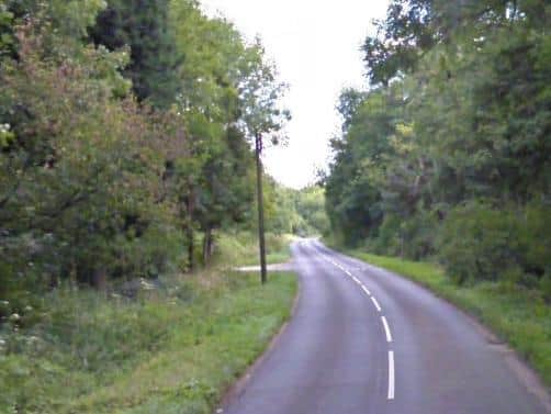 Harriet Palmer says she saw the marsupial on the main road in Salcey Forest close to the car park for the Tree Top Walk.