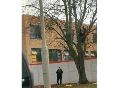 The man sat in a tree and held a sign for hours.