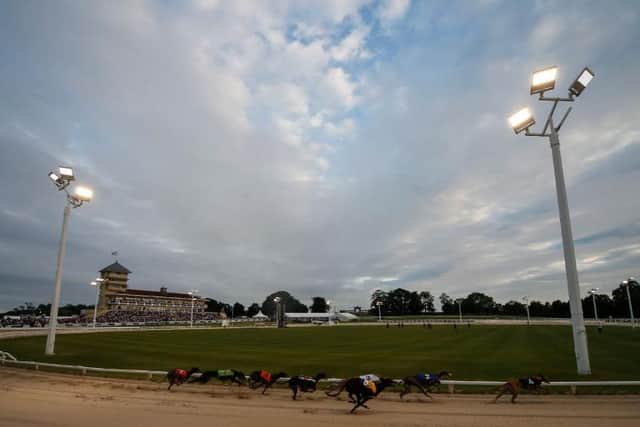 Greyhound racing will return to Towcester Racecourse in April 2020