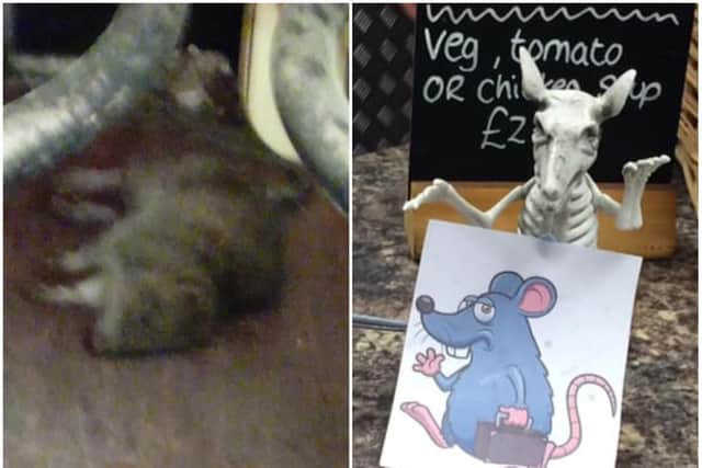 Super Sausage has responded to the dead rat pictured in their sitting area last week...