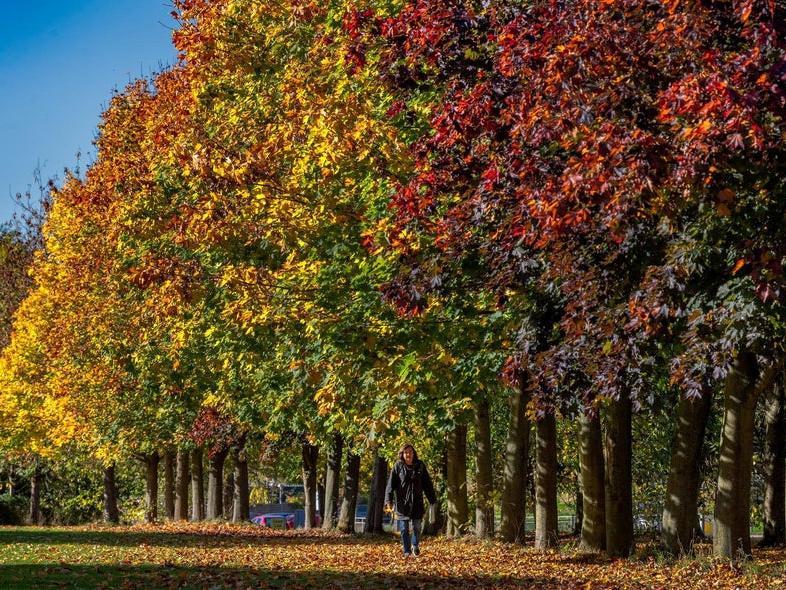 Horsforth South and Rawdon has seen rates of positive Covid cases fall by 100 per cent, from 36.0 to 0 cases per 100,000 people.