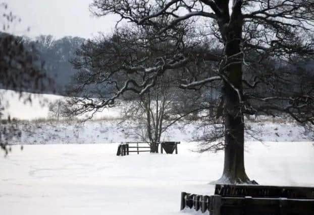 Snow fell on Northamptonshire in March during a crazy 2018 weather-wise