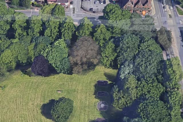 The dog owner was walking in Thornton Park, near the Cock Hotel in Kingsthorpe