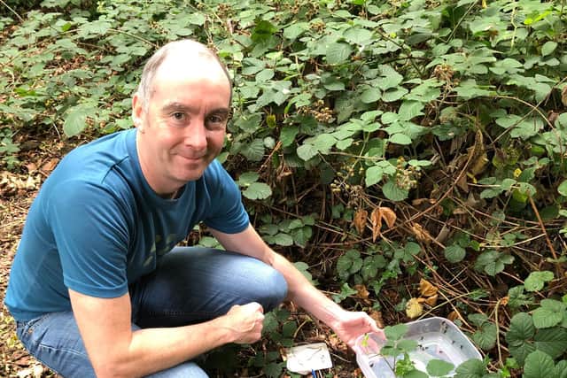 David has spent two months raising the tadpoles.