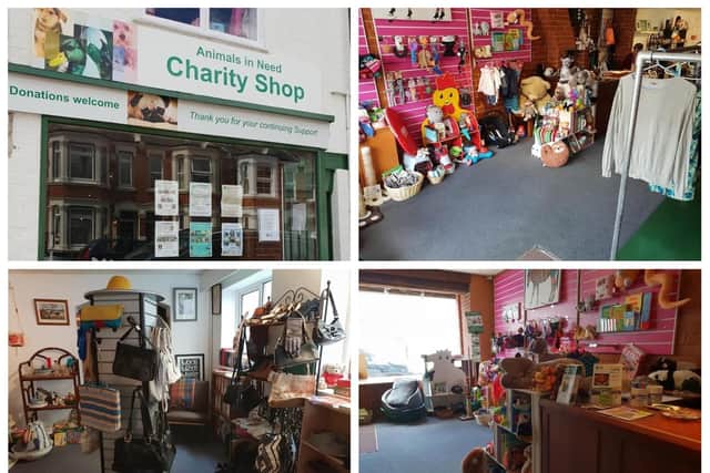 The Animals In Need charity shop is reopening with a fresh look on Monday following the lockdown.