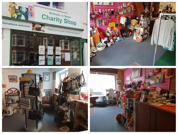 The Animals In Need charity shop is reopening with a fresh look on Monday following the lockdown.