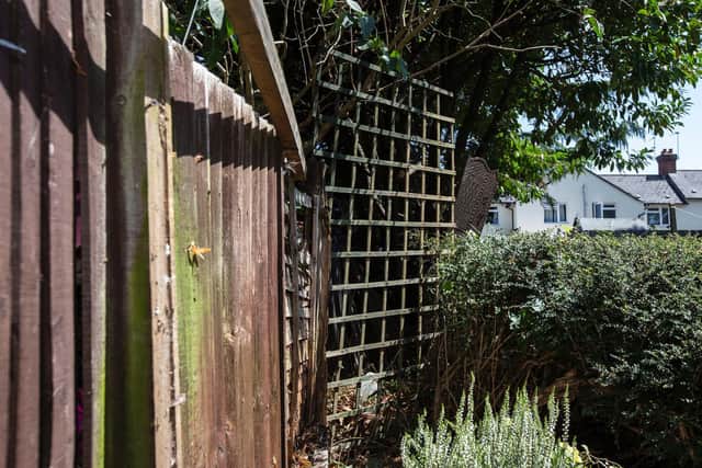 Tracey's garden needs some TLC which she is not able to give it.