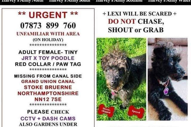 What to do if you see Lexi.