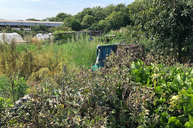 The allotment will be a confidential place for service users to get things off their chest while improving their mental health.