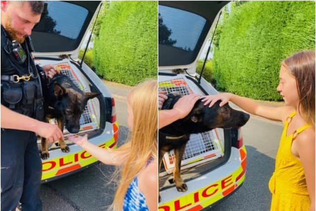 Poppy Hyland (left) and sister Gracie pet PD Walt with PC Kyle McGregor's supervision