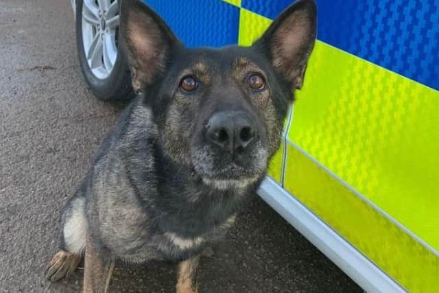 PD Nala