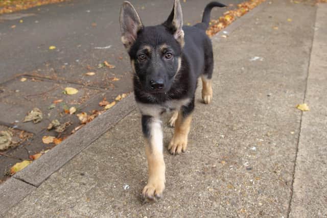 What a cutie!