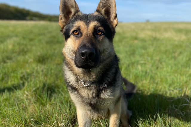 A more recent picture of PD Bryn.