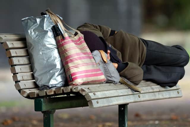 The council are hoping to recieve funding to buy 30 one-bedroom homes.