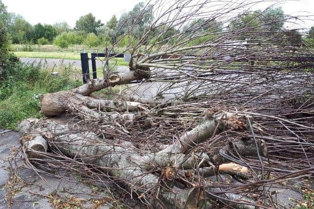 Summer Leys Nature Reserve car park has been blocked off ahead of the horse fair