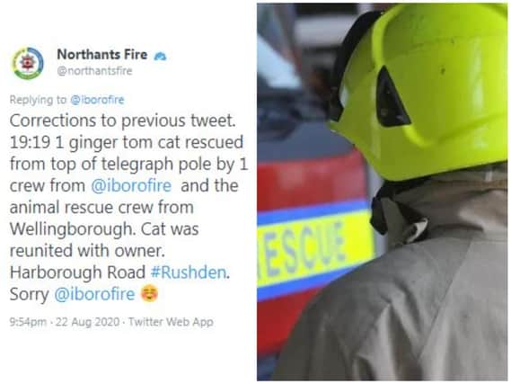 Northamptonshire's Fire & Rescue crews came to the rescue of one stranded moggie on Saturday