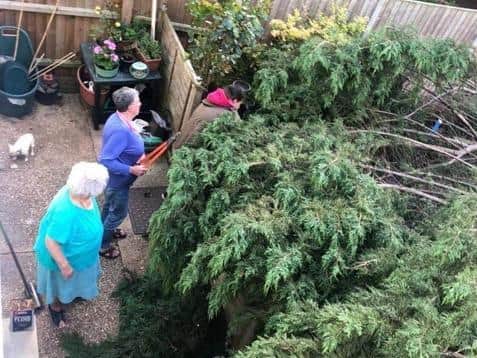 Two women inspect the huge tree which fell into a pensioner's garden in Delapre