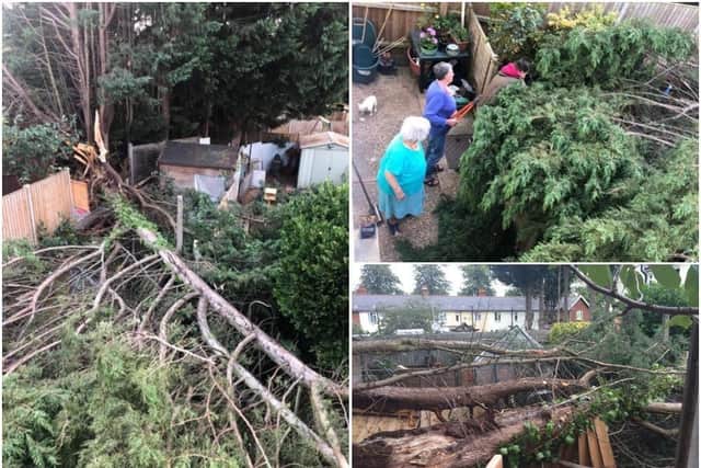 A huge tree crashed into an elderly woman's garden in Northampton on Tuesday (August 25) after years of complaints to the council