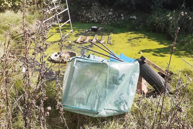 The garden was built from pallets, cable drums and willow dens.