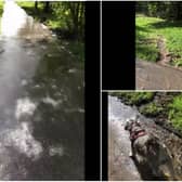 The leak has been streaming through Bradlaugh Fields for nearly two weeks.