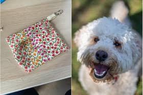 Any donations for the creative pouches are being donated to Medical Detection Dogs after the teacher's own dog acted strangely around her when she potentially had Covid-19.