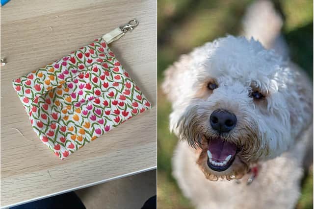 Any donations for the creative pouches are being donated to Medical Detection Dogs after the teacher's own dog acted strangely around her when she potentially had Covid-19.