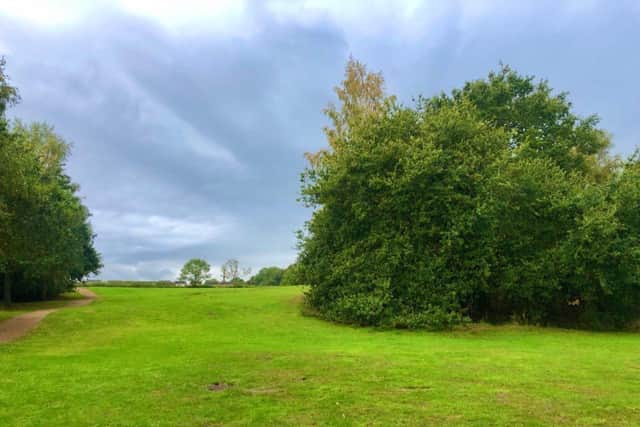 The park has given families a place to meet up safely during the pandemic. Photo: Nicky Callis Photography 2020