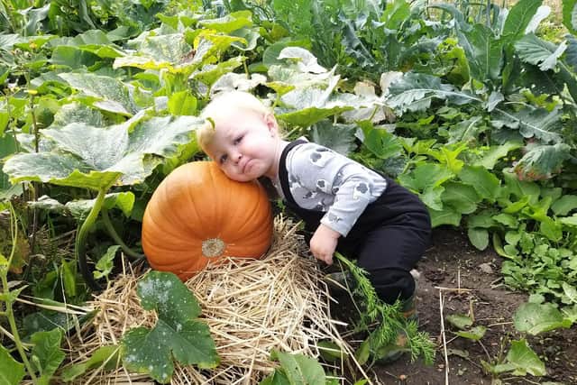 Children are sure to love the new seasonal festival.