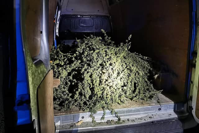Northamptonshire Police helped uncover a "large quantity" of cannabis in the back of a van. Photo: BCH Armed Policing Unit