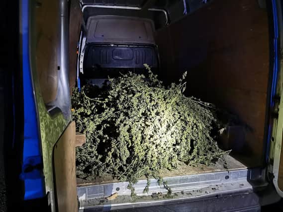 Northamptonshire Police helped uncover a "large quantity" of cannabis in the back of a van. Photo: BCH Armed Policing Unit