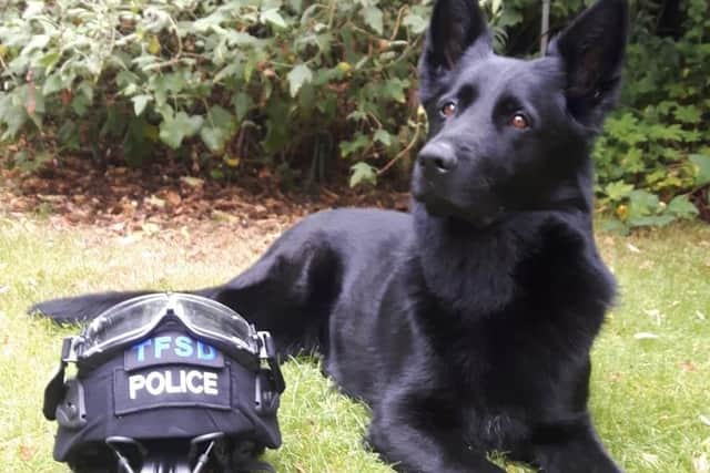 With the help of PD Fama, police were able to track down a suspect.