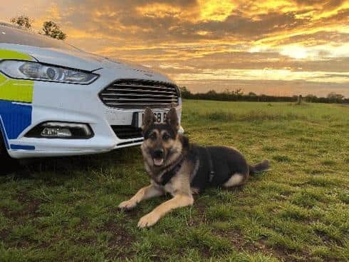The Northamptonshire Police dog section need somewhere to train. Can you help?