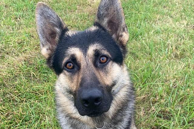 PD Bryn found the missing man safe just before 1am on 5 October.