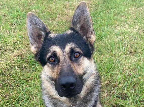 PD Bryn found the missing man safe just before 1am on 5 October.