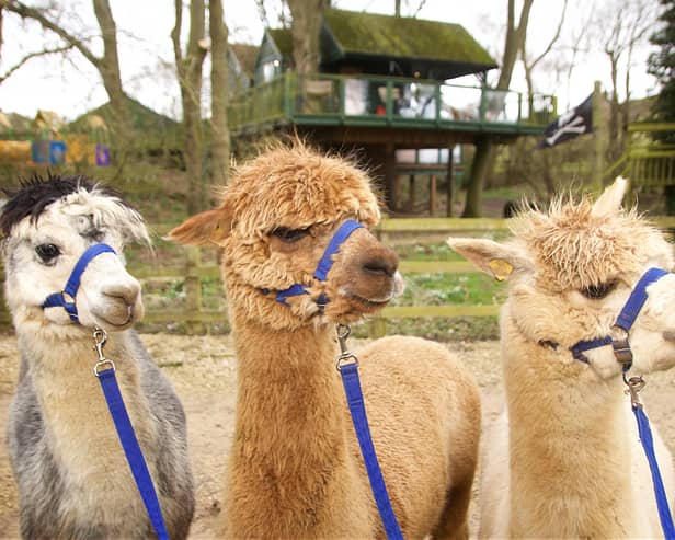 Meeting our new friends at Winchcombe Farm.