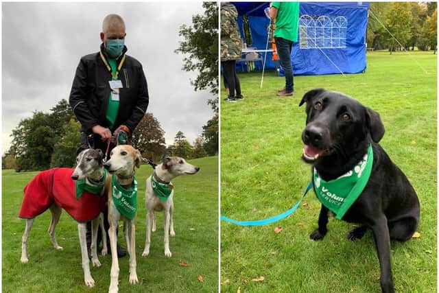 St Andrew's Healthcare's Pets as Therapy volunteers and their dogs have returned after seven months