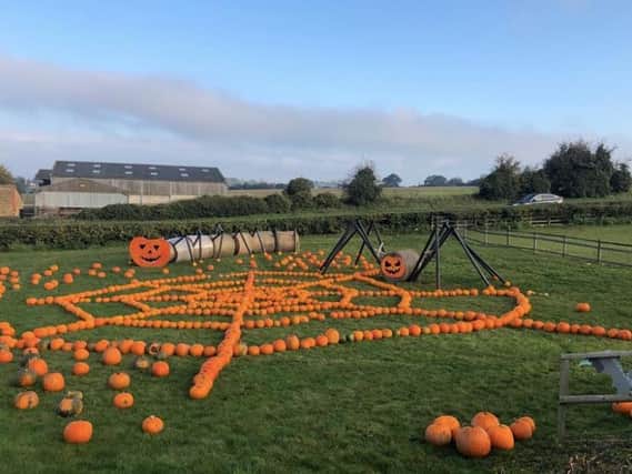 The team at Smith's Farm shop put together a 'spooktacular' spider display for pumpkin pickers ahead of Halloween this year.