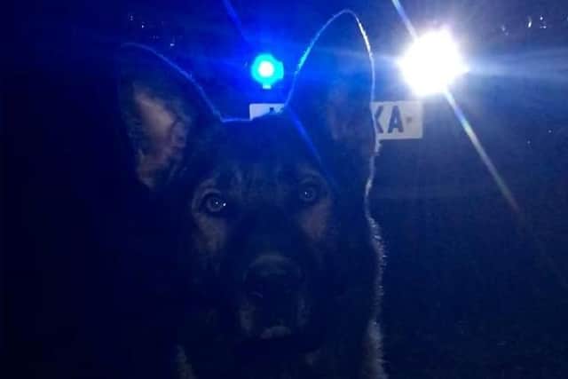 One Birmingham man and one Corby man was arrested for burglary after being located by Northamptonshire Police and PD Olly.