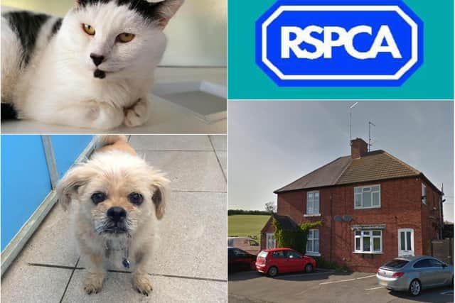 The RSPCA branch in Brixworth is closing on November 1 ahead of a "new chapter".