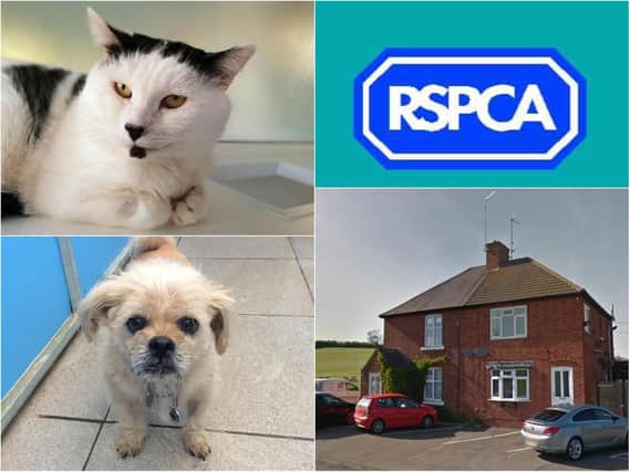 The RSPCA branch in Brixworth is closing on November 1 ahead of a "new chapter".