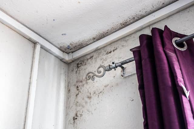 Large patches of mould have appeared in the living room, causing the house to feel damp and smell musty. Pictures by Kirsty Edmonds.