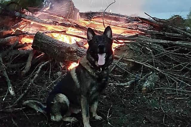 PD Boycie was deployed with armed police officers to Burton Latimer last night (October 29) in response to a report of two boys, 15 and 16, with a 'handgun'.