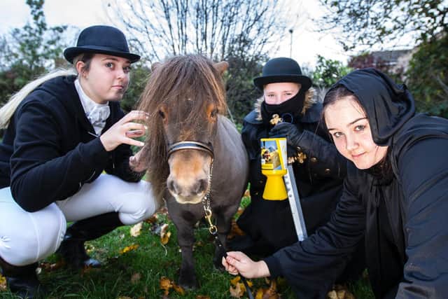 Amy the miniature pony will be dressing up on Saturday for charity as a big spider. Pictures by Kirsty Edmonds.