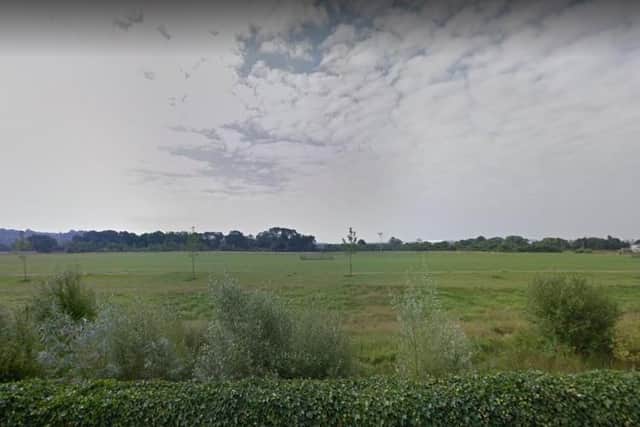 The girl, 4, was attacked by a brown dog in Upton Country Park in Northampton on Saturday November 7.
