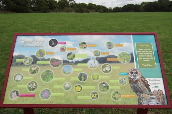 Everything listed on the board can be spotted in the meadow.