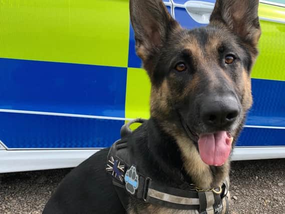 PD Kez assisted police in catching and arresting a Wellingborough man on suspicion of going equipped for burglary and possession of an offensive weapon in public