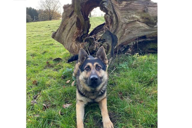 PD Bryn tracked down one of the offenders after they decamped at Bradlaugh Crescent, following a tense police car pursuit.