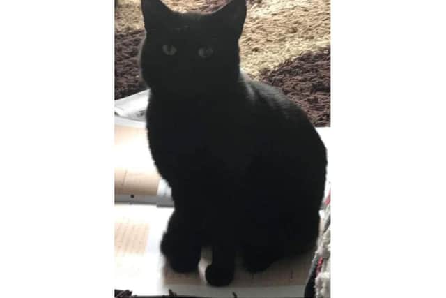 Sarah is now appealing for information to find out what happened to her "sweet boy" Tom.
